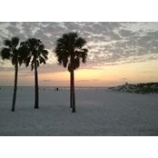 Terri Knaus's photo