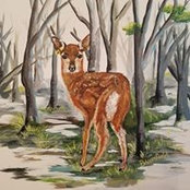 Shelley Bloomfield's photo