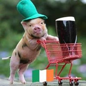 Patrick Murphy's photo