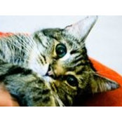Linda Auyang's photo