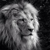 Daniele Benati's photo