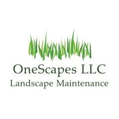 OneScapes