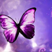 Tara Johnson's photo