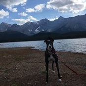 Mishayla Pelletier's photo