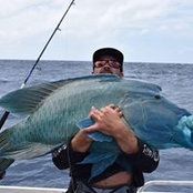 Mitch Jolliffe's photo