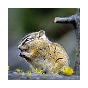 Lezlie Nelson's photo