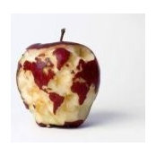 Francesca Minervino's photo