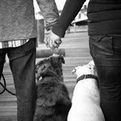 Kim Myers's photo