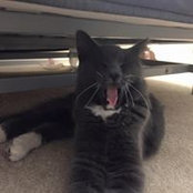 Joan Dallas's photo