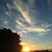 Foto von Sharna Cook