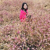 Friska Lubis's photo