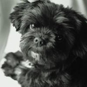 Photo de Élizabeth Turcotte-Noël