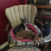 Penny Janson's photo