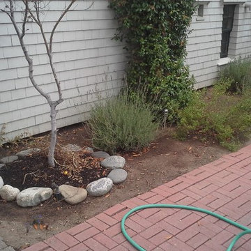 BEFORE. Victorian Garden