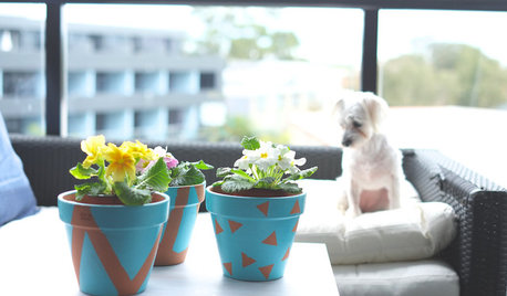 DIY Project: Paint 'Em Pretty Flower Pots