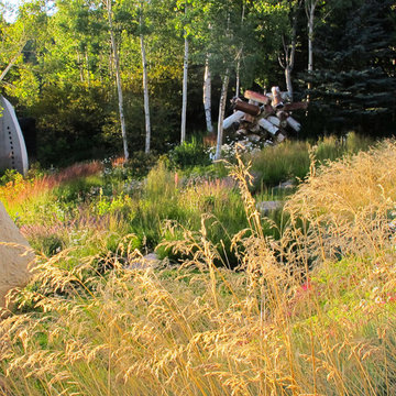 Sculpture Garden-Previous and Current Work