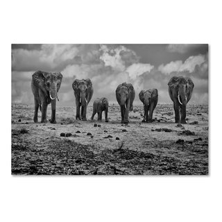 Marcel Rebro 'Big Family' Canvas Art - Contemporary - Prints And Posters - by Trademark Global | Houzz