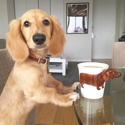 The Company Store Puppy Mugs - Mugs