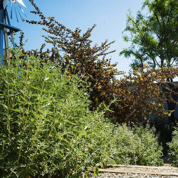 2018 Native Plant Garden Tour