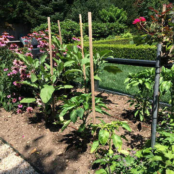 Ornamental and Edible