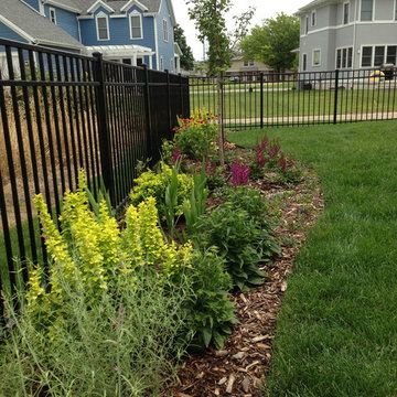 Narrow perennial border with Ginkgo tree