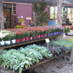 Fall Decor - Outdoor Products