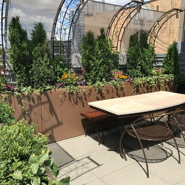 Rooftop Landscaping in Minneapolis