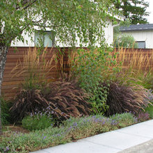 landscape design