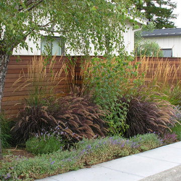 Modern Landscape