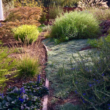 Lawn Replacement in a Challenging Environment