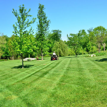 Lawn care service