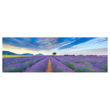 "Lavender Field, France" Digital Paper Print by Frank Krahmer, 56"x20"