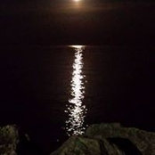 Nancy Talbert-Cowans's photo