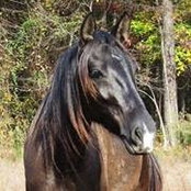 Lynn Gallup's photo