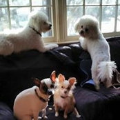Gail VanValkenburgh's photo