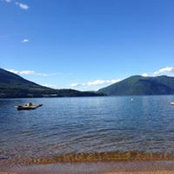 Andrew Hamilton's photo