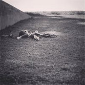 Paulina Matthew's photo