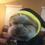 Cynthia Cabrera's photo