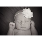 Amanda Barta's photo