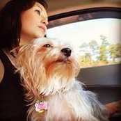 Beth Mitchell's photo