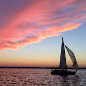 Danny Ferreira's photo