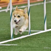 Amanda Rizner's photo