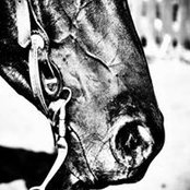 Rose Heft's photo