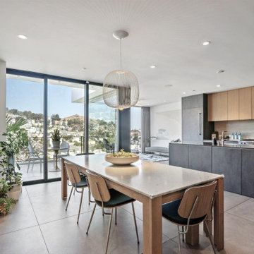 Eureka Valley Residence