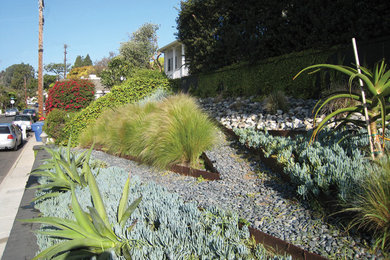 Inspiration for a mid-sized modern sloped full sun garden for spring in Los Angeles with a garden path and gravel.