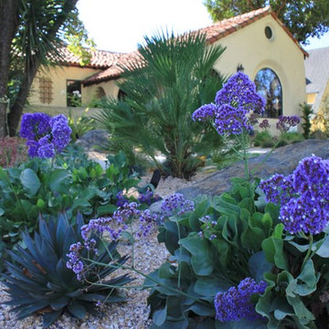 Santa Rosa Mediterranean Courtyard