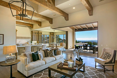 Design ideas for a transitional living room in San Diego with medium hardwood floors.