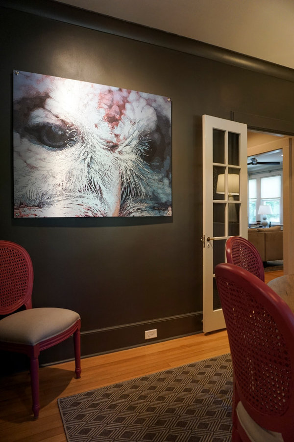 "Sealy" the Owl watching over you... printed on aluminum