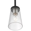 Cityview 1 Light Black With Brushed Nickel Accents Mini Pendant