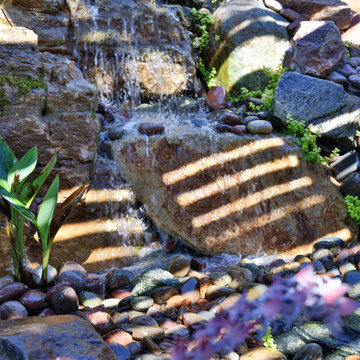 Tropical Waterfall in Encinitas